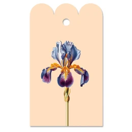 Gavemærke Iris (Blume)