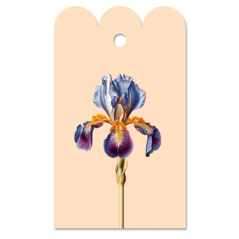 Gift Tag Iris (Blume)