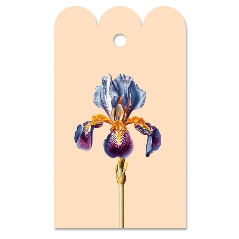 Gavemærke Iris (Blume)