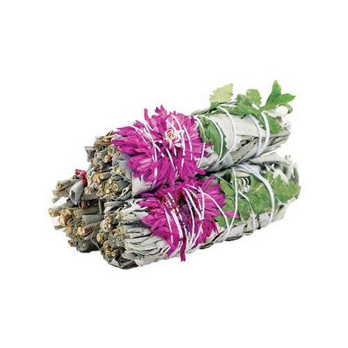 Dahliensalbei 10 cm für blumige Reinigungsrituale
