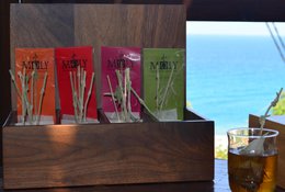 MΩLY „Silhouette“ – HoReCa-Kräutertee mit natürlichem Kräuterstamm