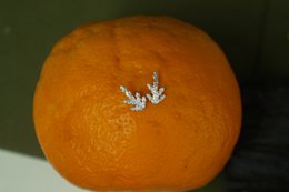 Cypress Leaf Øreringe: Små Sterling Sølv nitter (Hypoallergenic, Dainty)