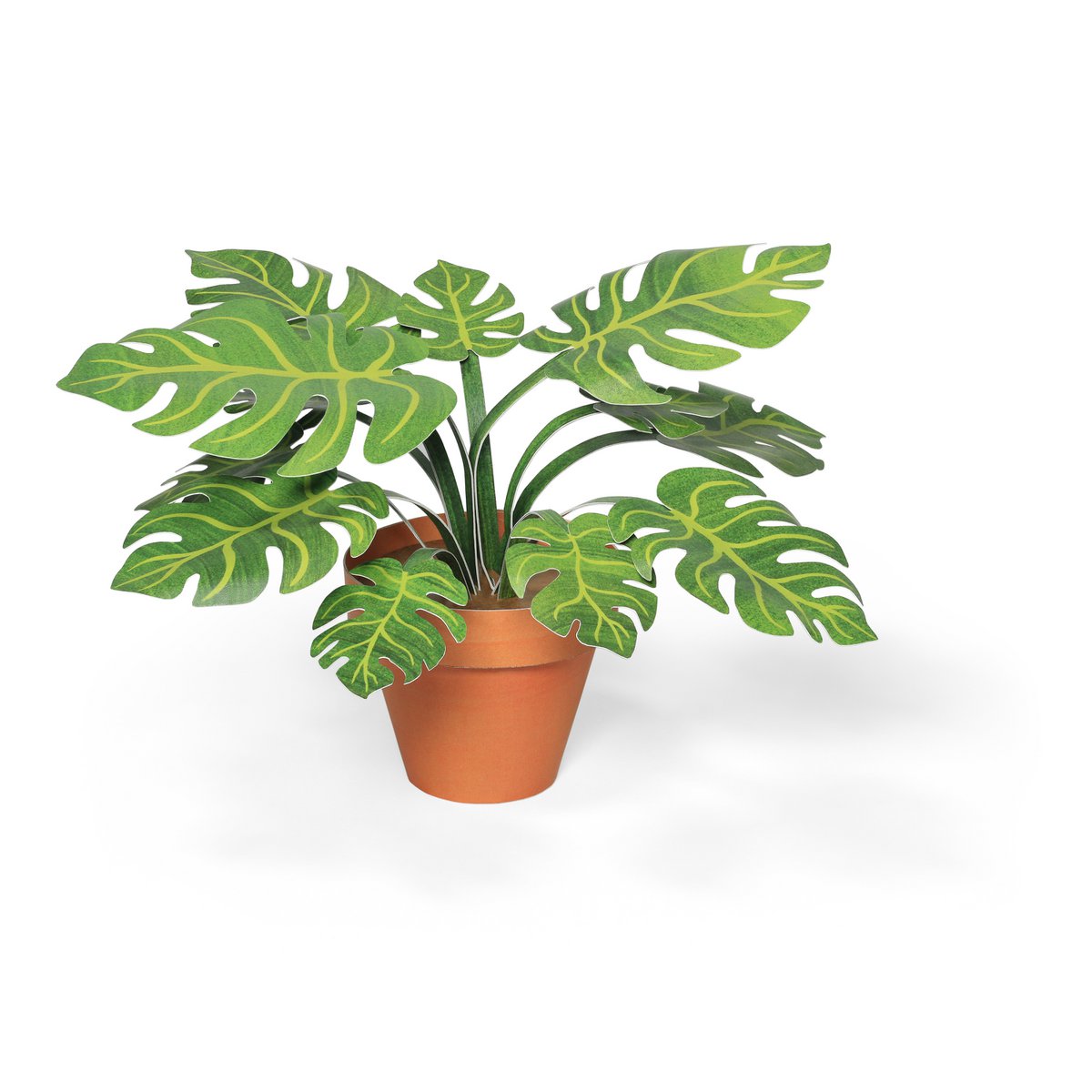 Pyszny mini zestaw do rękodzieła ogrodowego Monstera