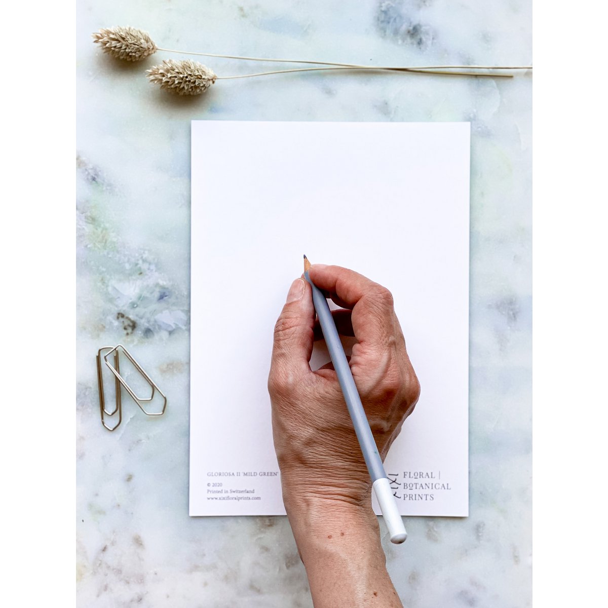 A5 Art Card | Hydrangea 'mild grøn'