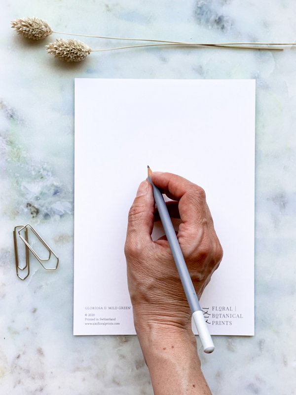 A5 Art Card | Hydrangea 'mild grøn'