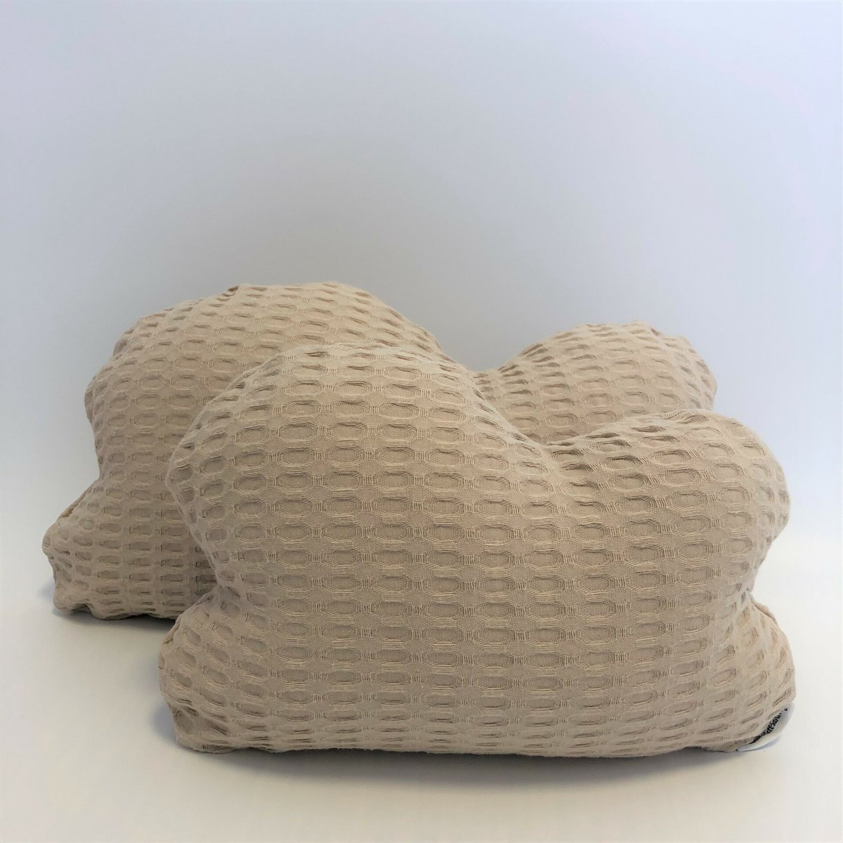 Cloud pillow / stone pine cloud