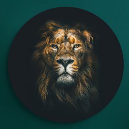 Large circular wall art featuring a majestic lion with a dark background.