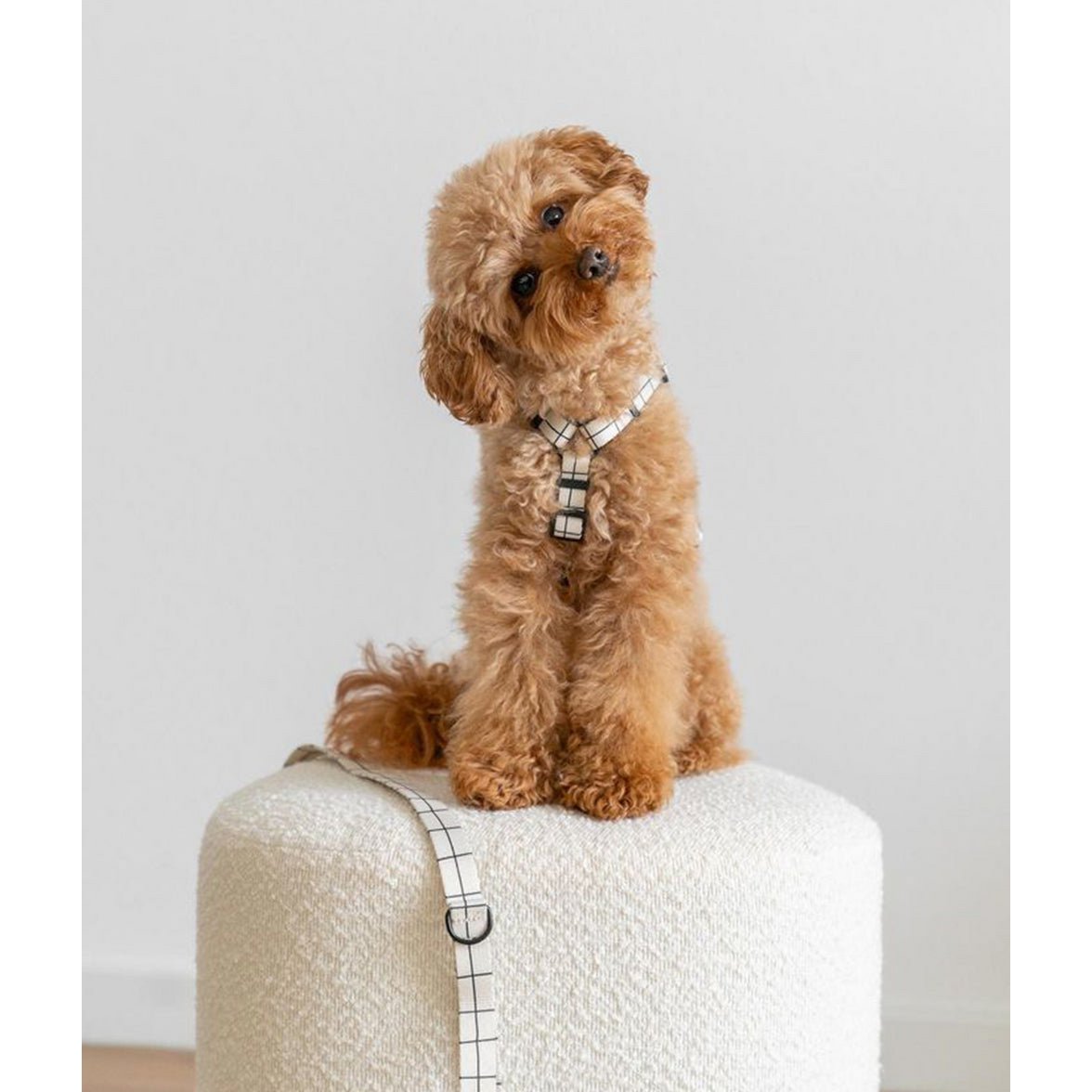 Recycled PET Harness Beige Line Design, Juno