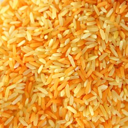 Playing rice safari mix