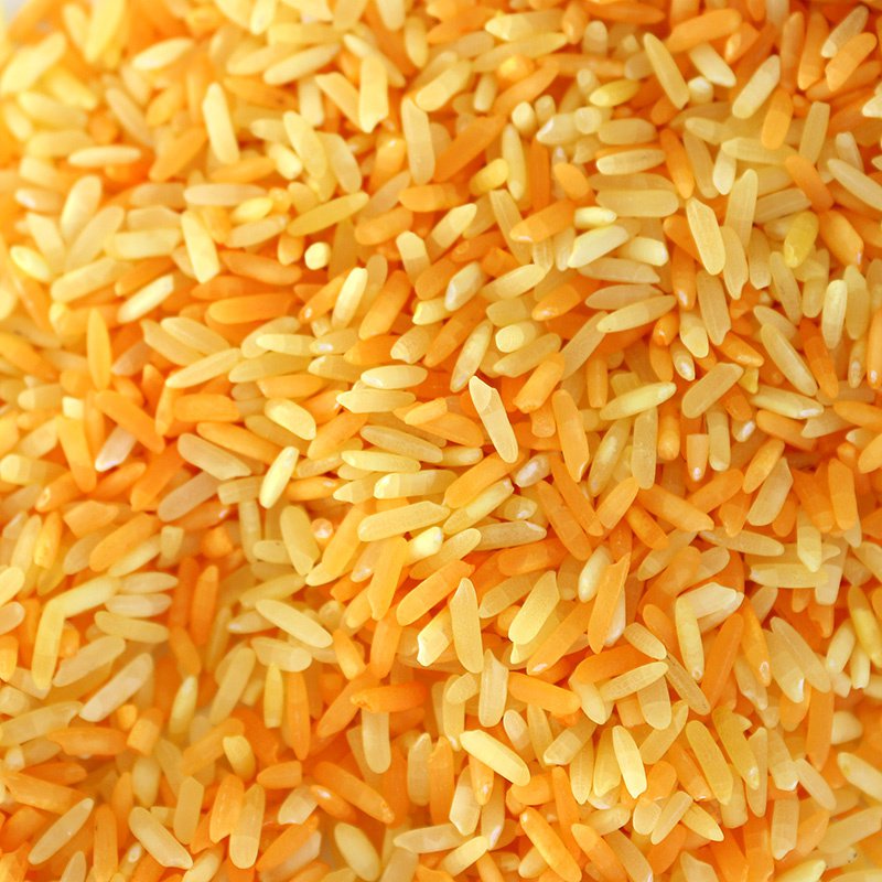 Playing rice safari mix