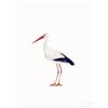 Postkarte | Storch