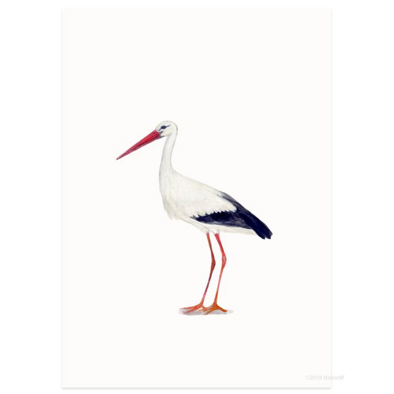 postcard | Stork
