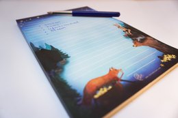 Appendi un quaderno A5 stelle