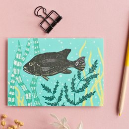 Ansichtkaart | Vis