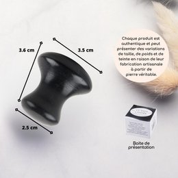 Set of 11 + 1 Free - Champi Gua Sha in Black Serpentine