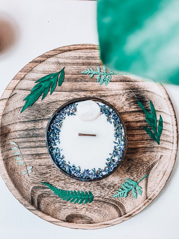 Sand Dollar candle - coconut shell