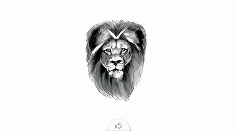 Temporary tattoo: lion