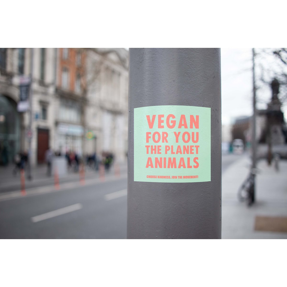 Veganske indendørs/udendørs klistermærker 'Vegan for You, Animals, Planet'