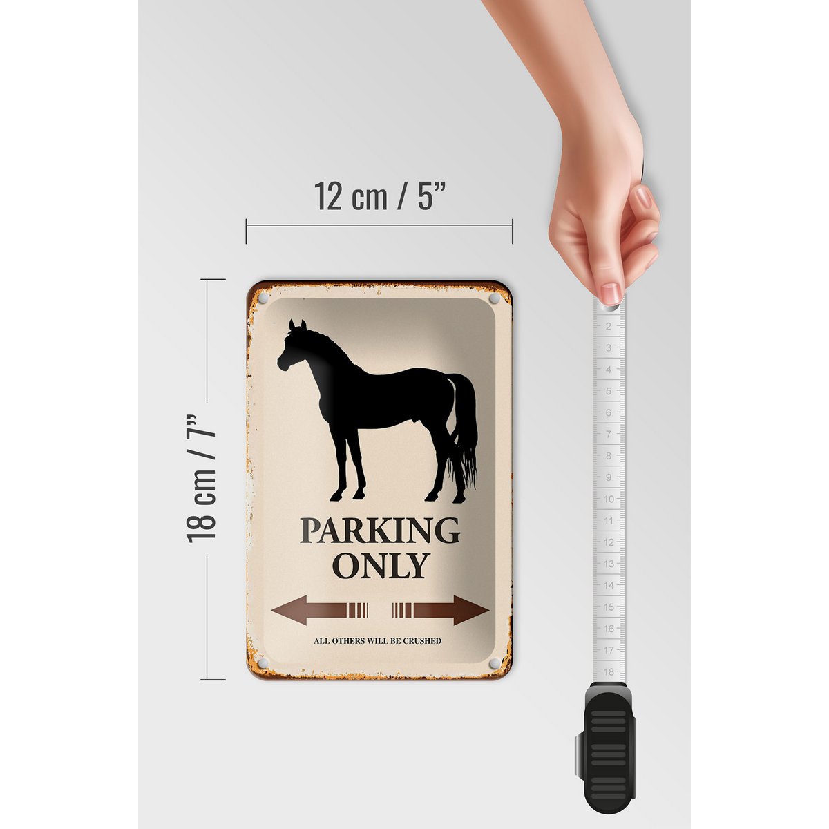 Blikken bord met de tekst 12x18cm Paardenparkeerplaats, alleen alle andere decoratie
