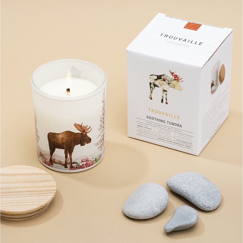 Save the Planet Scented Soy Wax Candle | Soothing Tundra