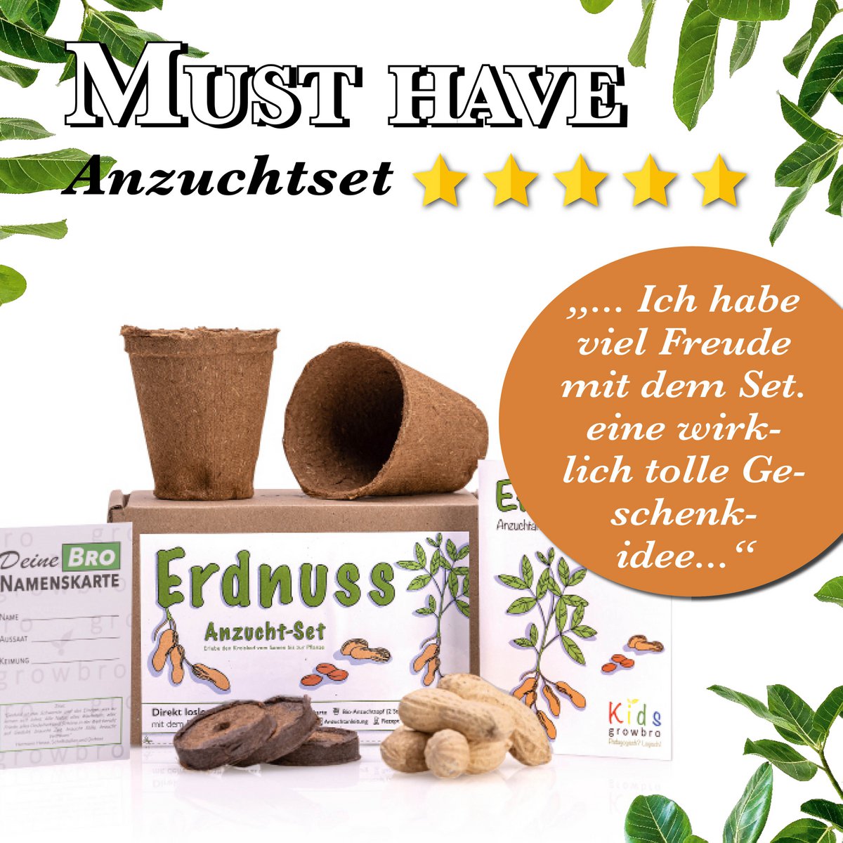 ensemble de culture d'arachides pour enfants growbro, ensemble de découverte de jardin, enfants chercheurs, cadeau pour enfants, cadeau d'anniversaire pour enfants, expérience à apporter