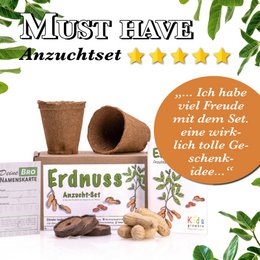 growbro kids set per la coltivazione di arachidi, set per la scoperta del giardino, bambini ricercatori, regalo per bambini, regalo di compleanno per bambini, esperimento da portare con sé
