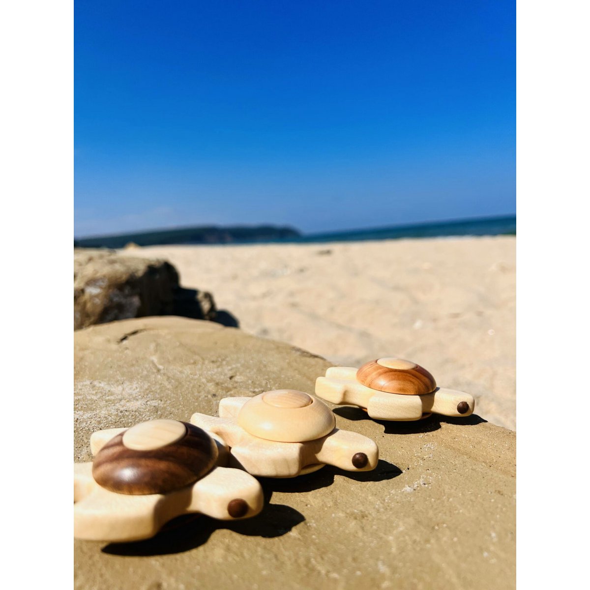 Jouet Tortue de Mer - Tortuga en Bois