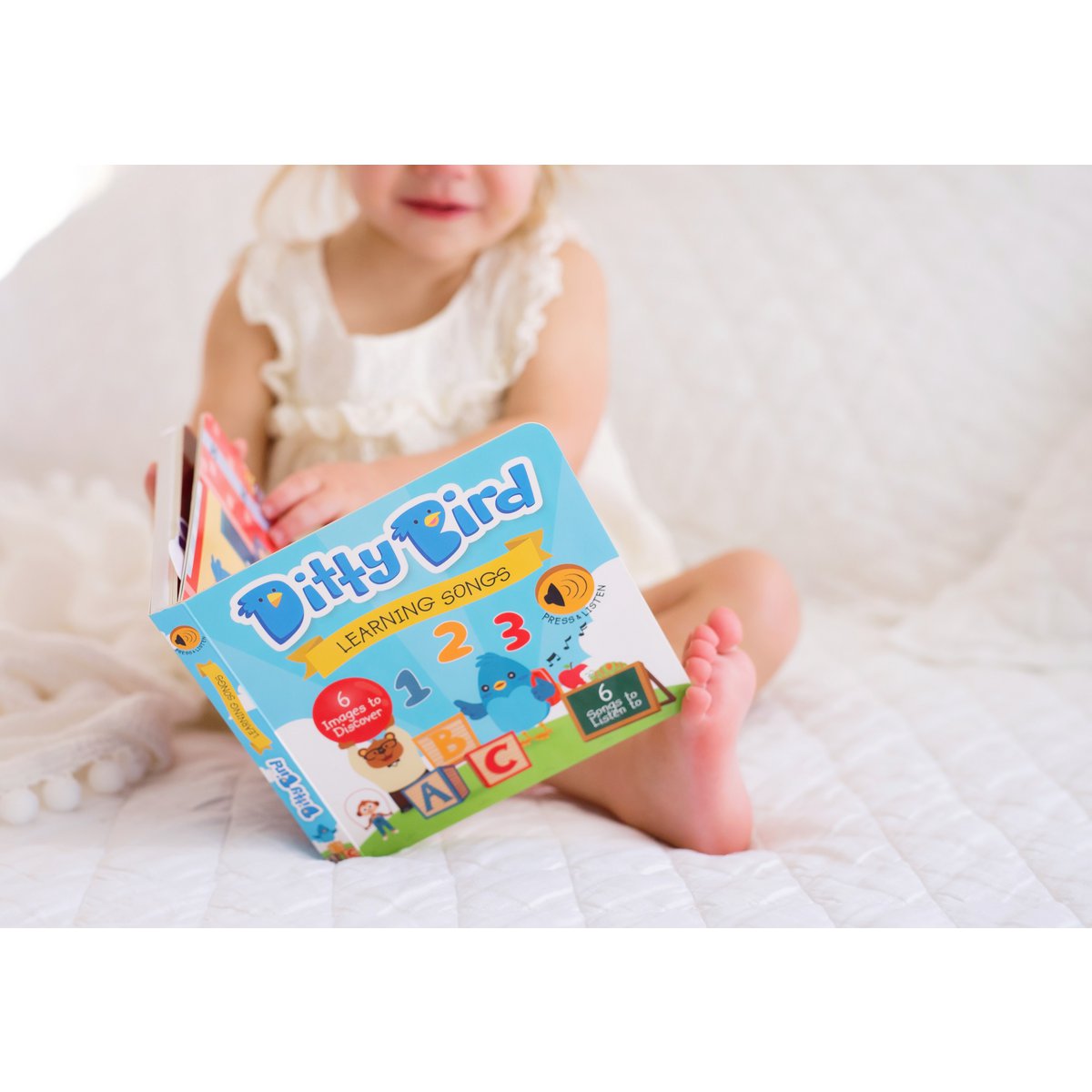 Ditty Bird Baby Sound Book: liedjes leren