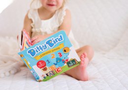 Ditty Bird Baby Sound Book: Learning Songs