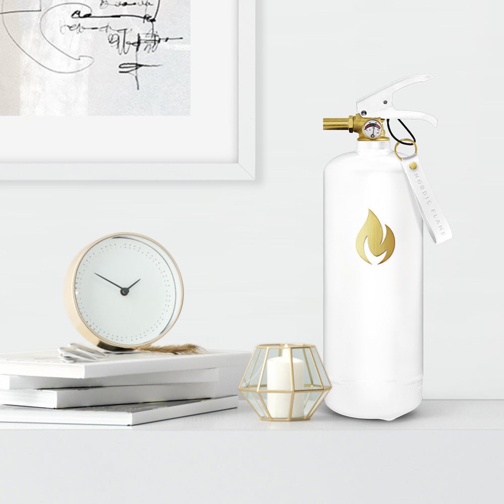Fire Extinguishers 2 kg - White Gold