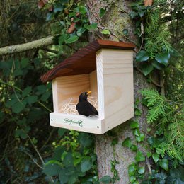 Huile de protection contre les intempéries ERDENFREUND® Tierhaus