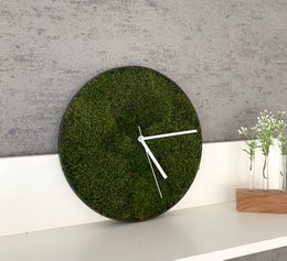 Wall clock flat moss