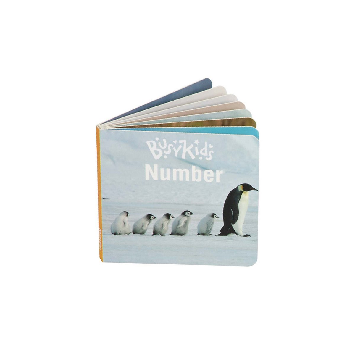 BusyKids Montessori-Set für Kinder von 24 bis 36 Monaten