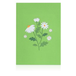 Tarjeta desplegable Margarita con mariposa