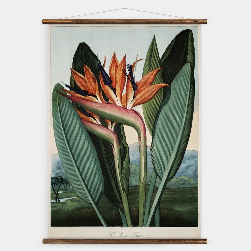 The Queen Flower Wall Chart