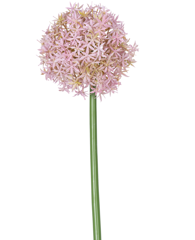 Artificial flower Allium Large 80 cm purple