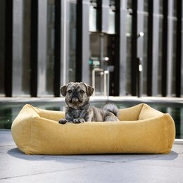 TUDOR CLASSIC HUNDEBETT