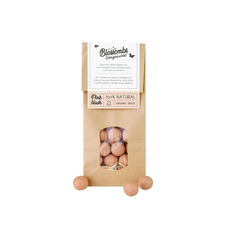 Kraft Bag 10 Pieces Seed Bomb