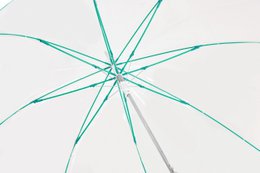 Großer automatischer transparenter Regenschirm | Winddicht | C-Sammlung