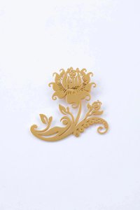 Elegant brooches