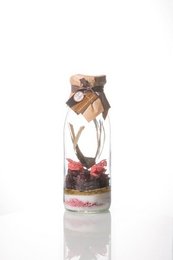 Zubereitung für arrangierten Rum Hibiscus Red Fruits 50 CL