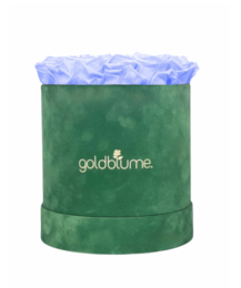 Velvet Green Collection