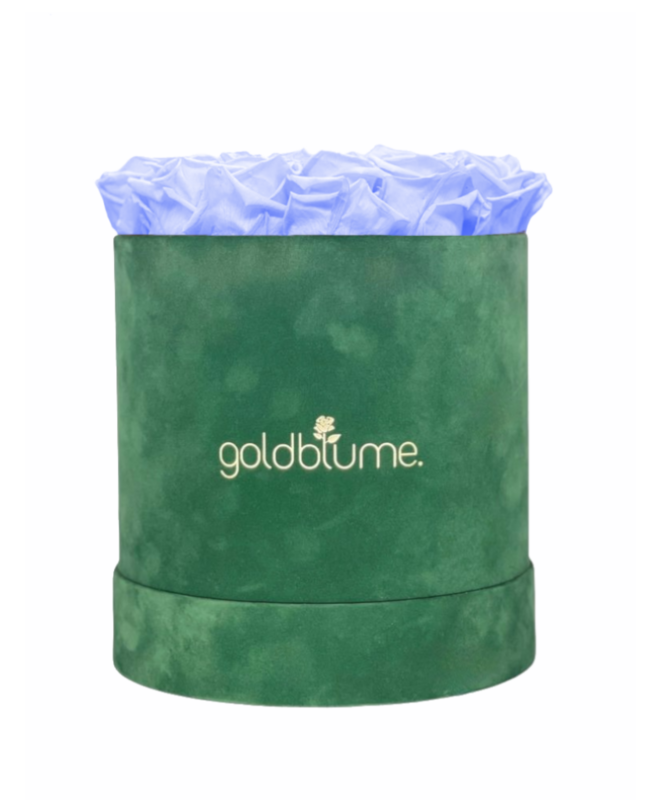 Velvet Green Collection