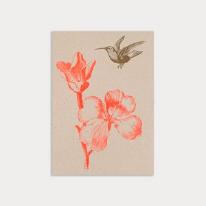 Postcard / hummingbird with flower / eco paper