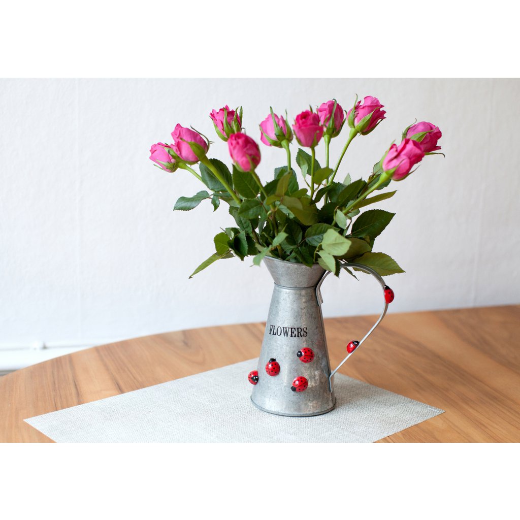 Trendform Magneten Ladybug - Set of 6