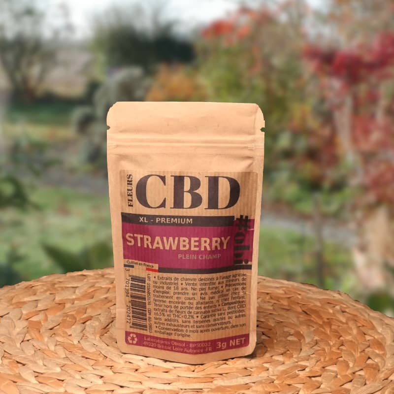 Kwiaty truskawki XL CBD