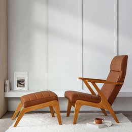 Apollo Lounge Sessel - Leder