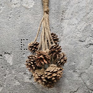 Rota bundel denneappel H40cm (21607)