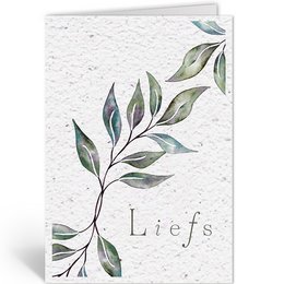 LOVE - EUCALYPTUS