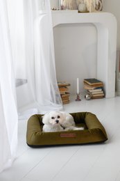 Monolith Luxury Hundeseng – Premium designermøbler til kæledyr, håndlavet i Europa, moderne stil